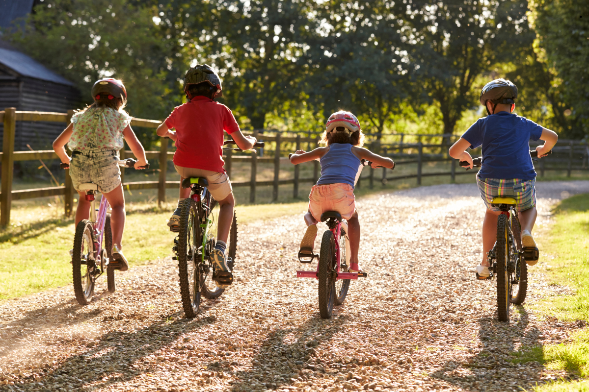 Albergue Ruta del Ferro