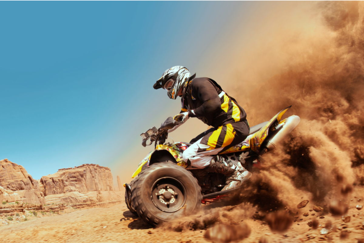 Deltaventur, Parc d’Aventura i Natura