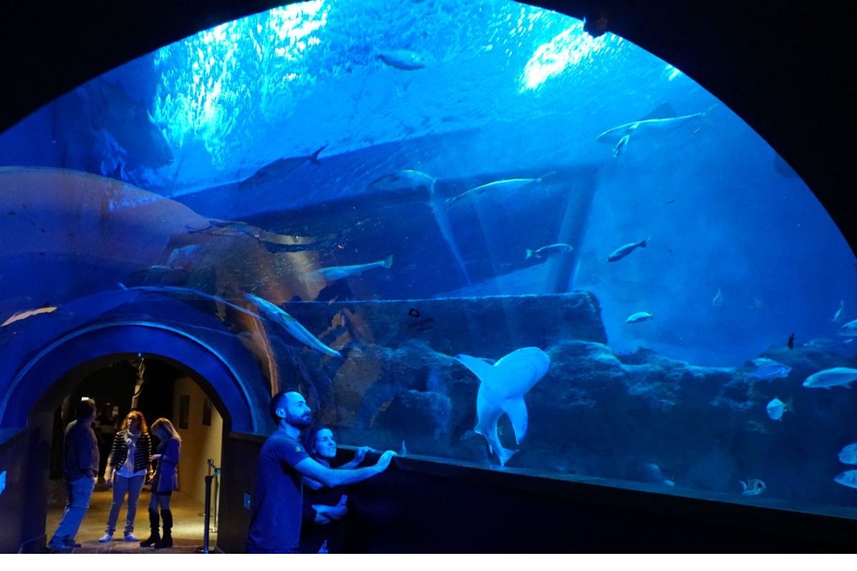 Acuario de Sevilla