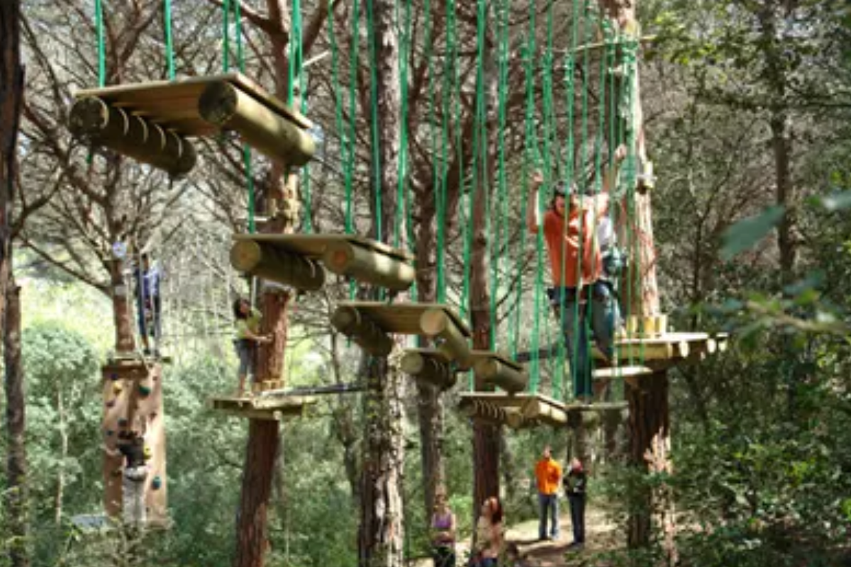 Borredà Parc Aventura en los Árboles