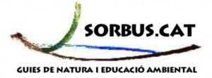 SORBUS, Educación ambiental