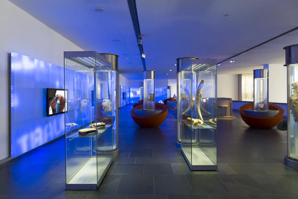 Museo Nacional de Arqueología Subacuática