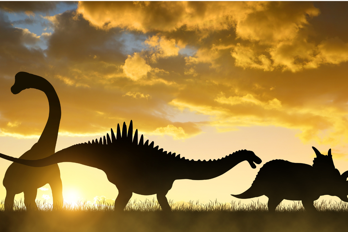 Epicentre, centro de visitantes del Pallars Jussà