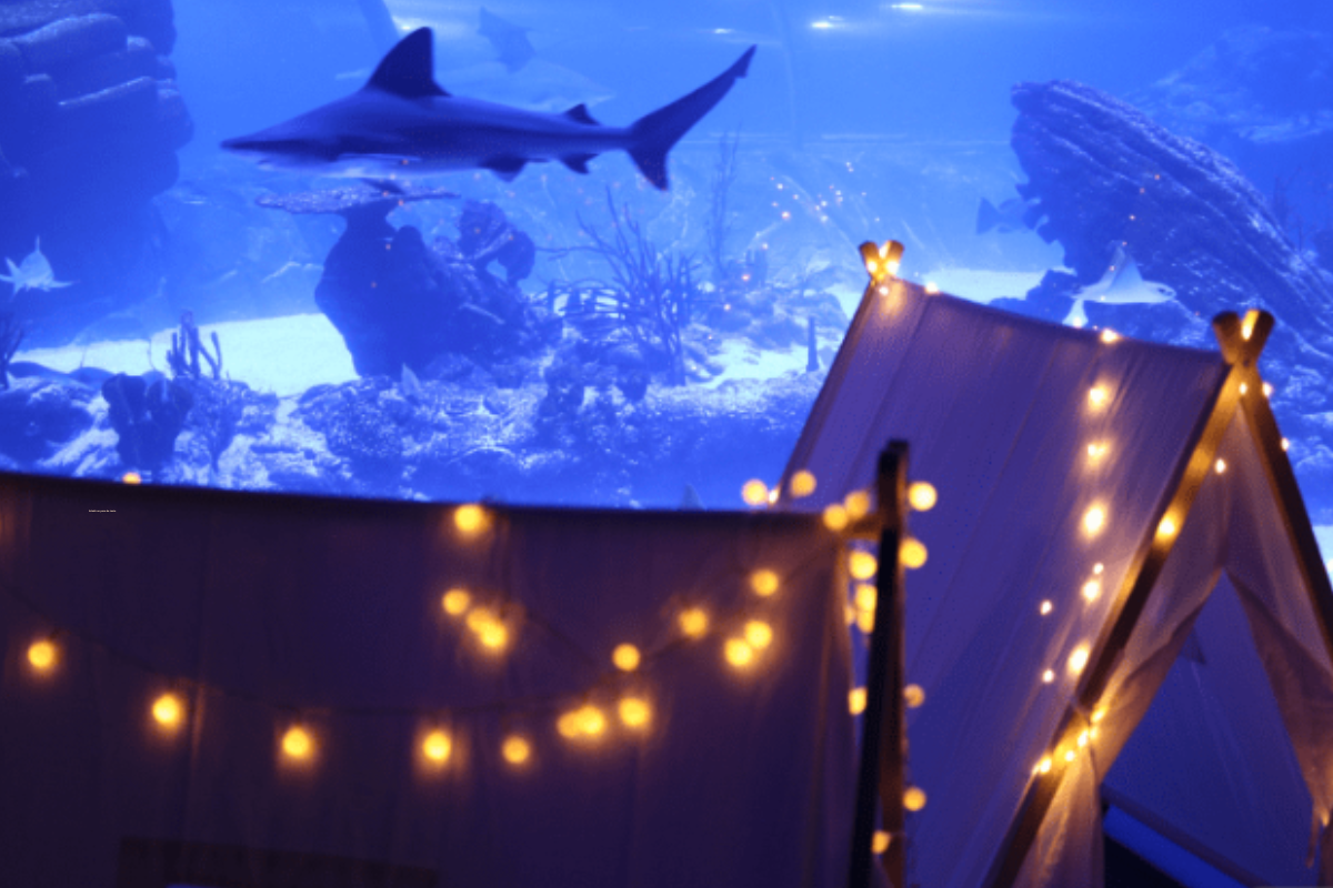 Atlantis Aquarium Madrid