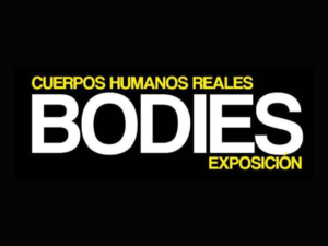 Exposición BODIES
