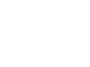 The Black Mirror Experience