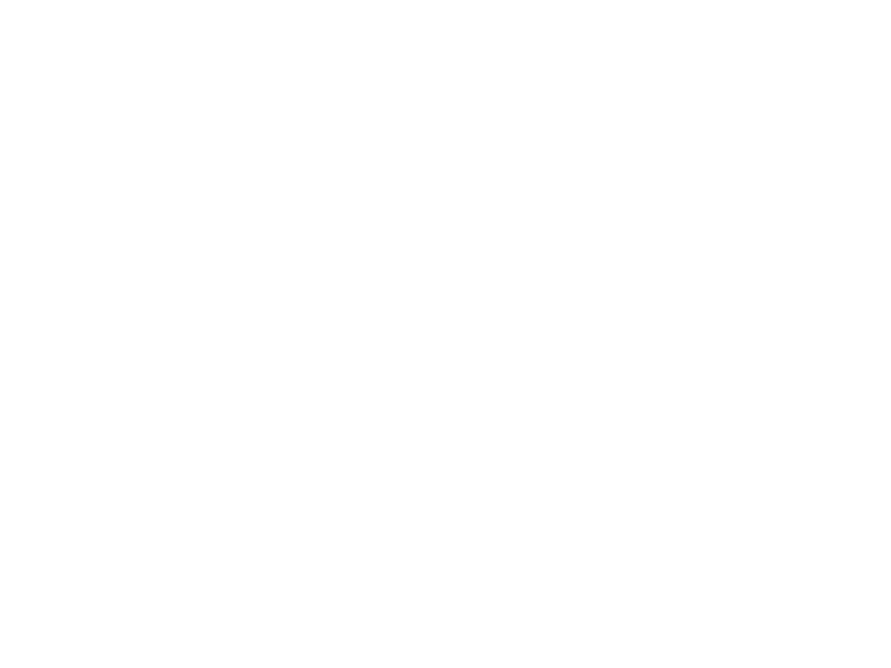 The Black Mirror Experience