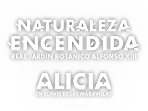 Naturaleza Encendida - Madrid