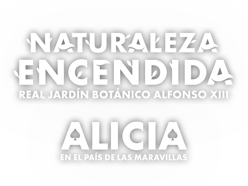 Naturaleza Encendida – Madrid
